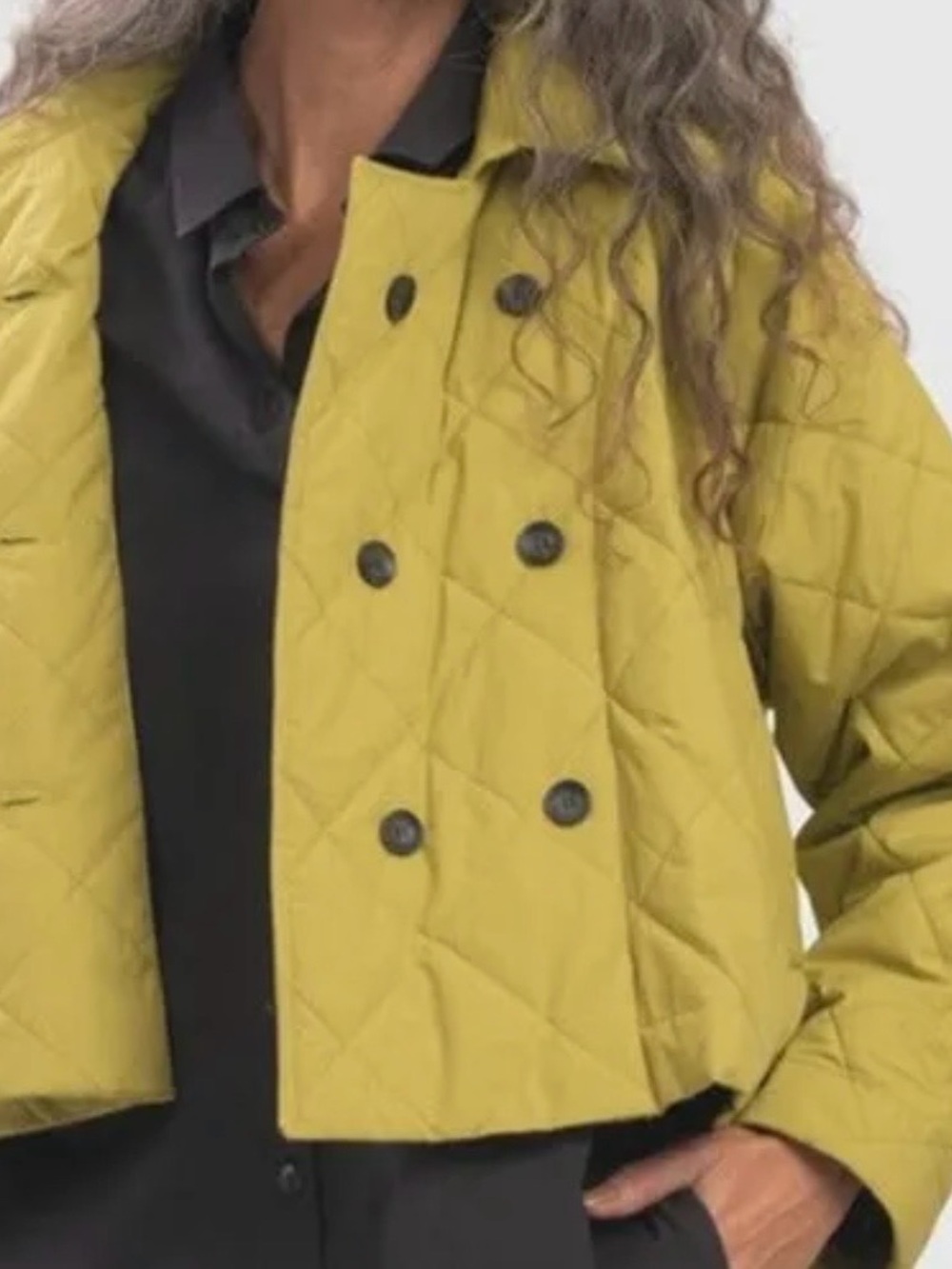 🌺HP🌺NWOT Urban by Alembika quilted crop jacket retails $348🌺